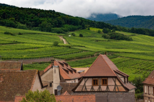 Acheter et investir dans les terres agricoles : une strategie rentable pour diversifier son patrimoine